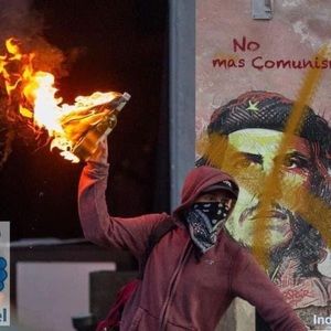 Meet your Posher, Gaston